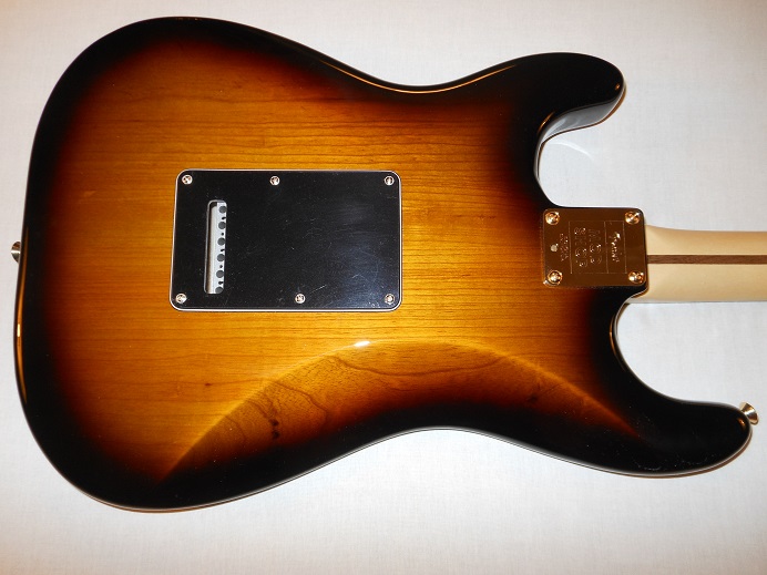 Mod Shop Stratocaster Picture 9